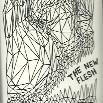 the new flesh filth and newton n squared volume 5 on Breathmint Records
