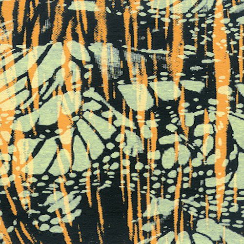 Rick Weaver plays Mule on Tape. Originally released by I Just Live Here. June 2011