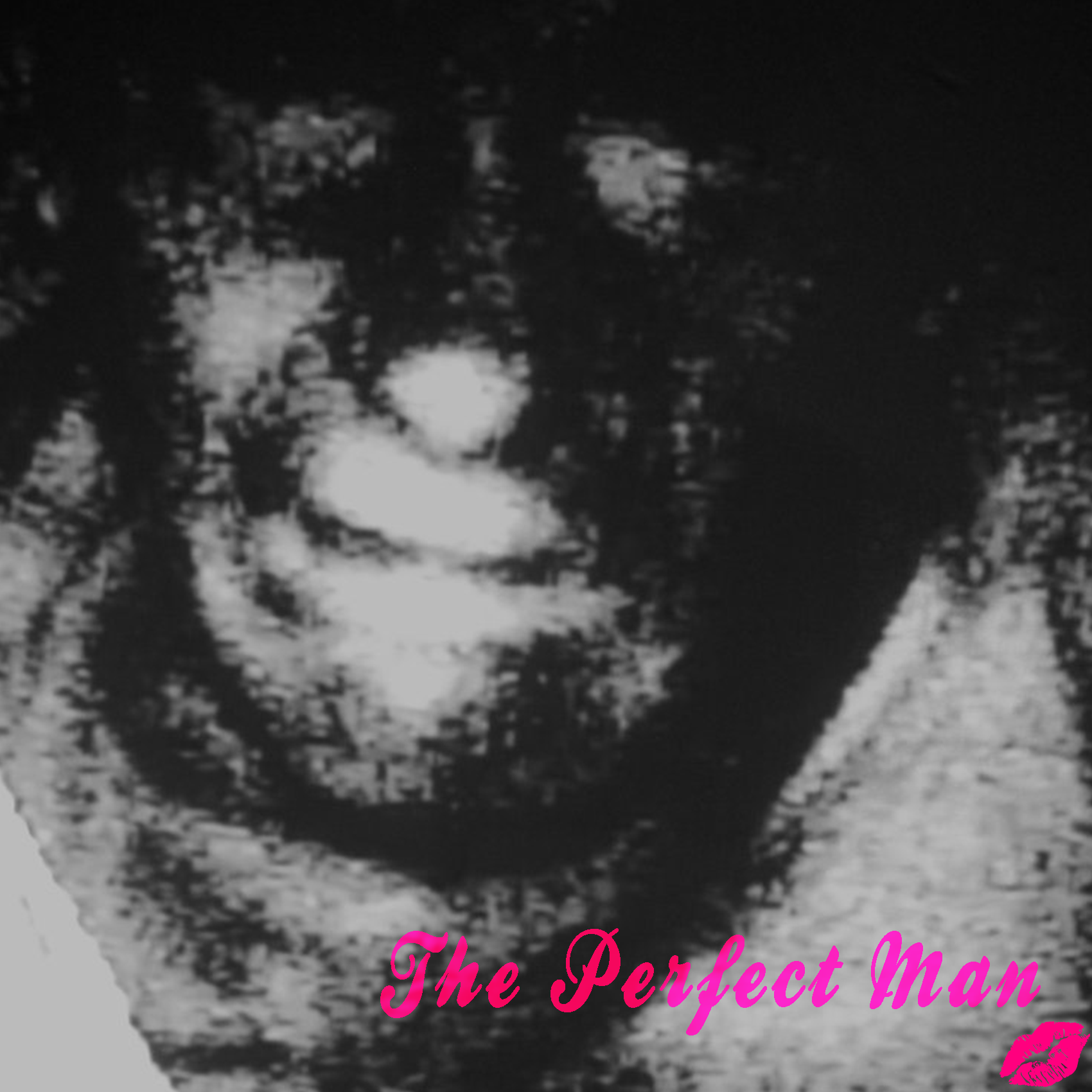 rick weaver perfect man bezoar formations 2013